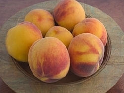 Organic Cal Red Peaches  Pre-Order – Frog Hollow Farm